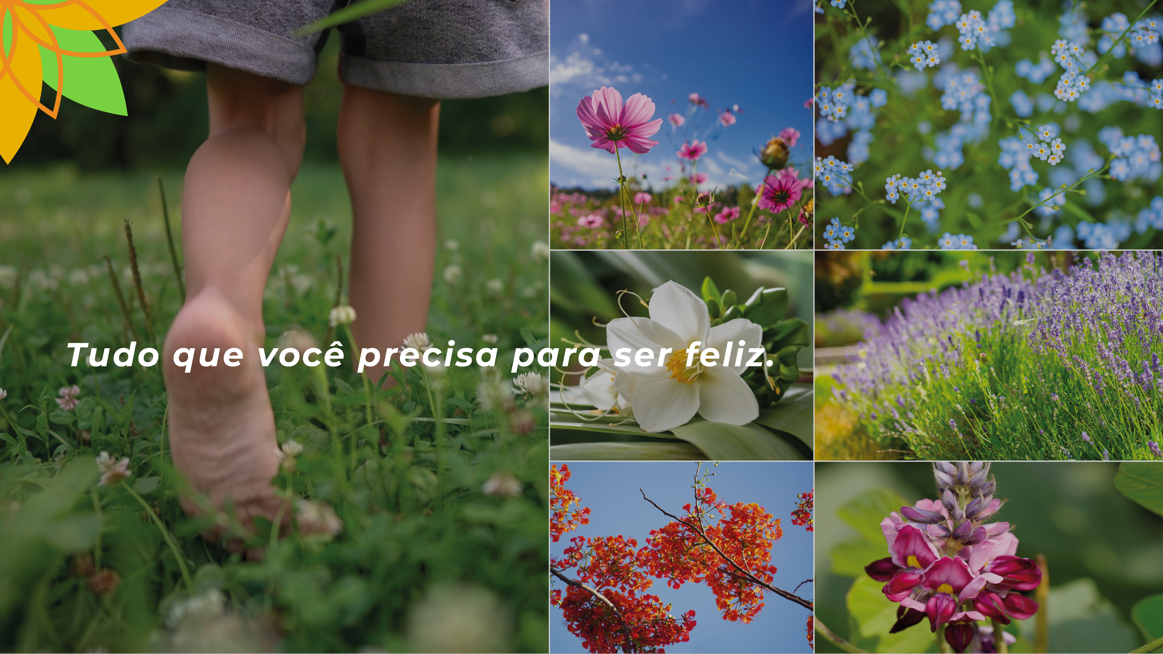 Condomínio Residencial em Rodovia Go-469 sentido Abadia de Goiás Para Aragoiania  - Foto 40 de Condomínio Flora Parque